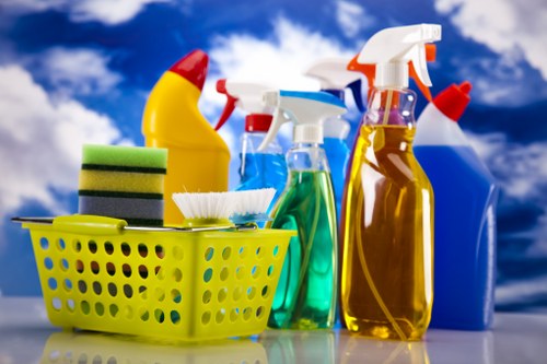 Carpet cleaner applying safe cleaning practices in a home