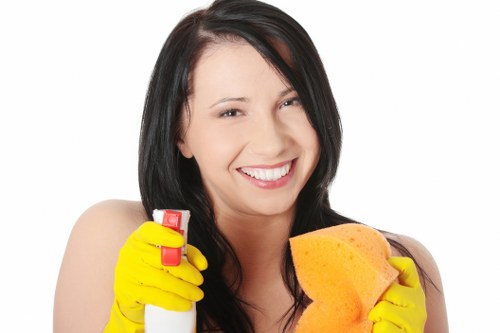 Cleaning technician assessing a carpet cleaning booking and service details